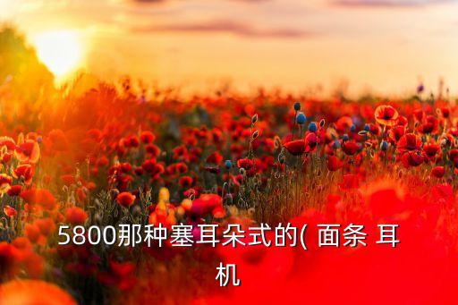 5800那種塞耳朵式的( 面條 耳機(jī)