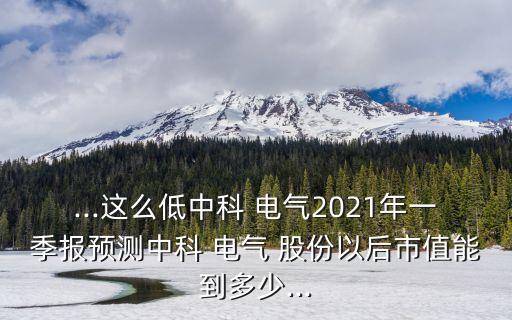 電氣自動化股份占比例
