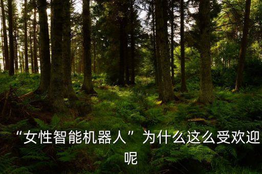 “女性智能機器人”為什么這么受歡迎呢