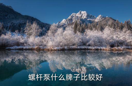 螺桿泵什么牌子比較好