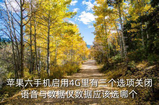 蘋果六手機(jī)啟用4G里有三個(gè)選項(xiàng)關(guān)閉語(yǔ)音與數(shù)據(jù)僅數(shù)據(jù)應(yīng)該選哪個(gè)