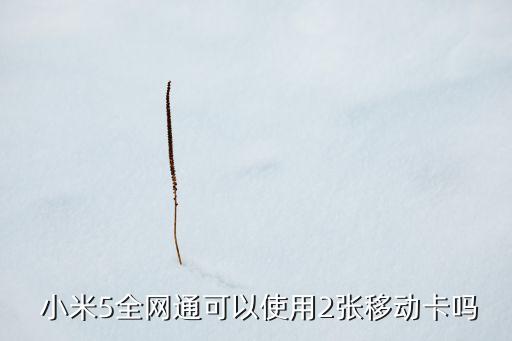  小米5全網(wǎng)通可以使用2張移動(dòng)卡嗎