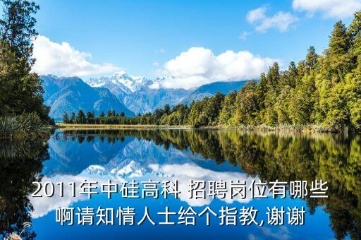 2011年中硅高科 招聘崗位有哪些啊請(qǐng)知情人士給個(gè)指教,謝謝