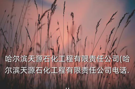 哈爾濱天源石化工程有限責(zé)任公司(哈爾濱天源石化工程有限責(zé)任公司電話...