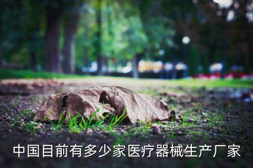 中國(guó)目前有多少家醫(yī)療器械生產(chǎn)廠家