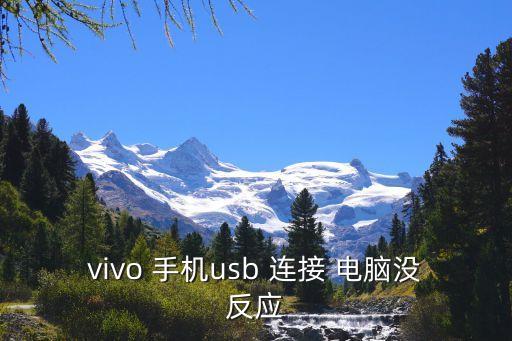 vivo 手機(jī)usb 連接 電腦沒反應(yīng)