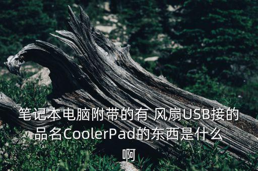 筆記本電腦附帶的有 風(fēng)扇USB接的品名CoolerPad的東西是什么啊
