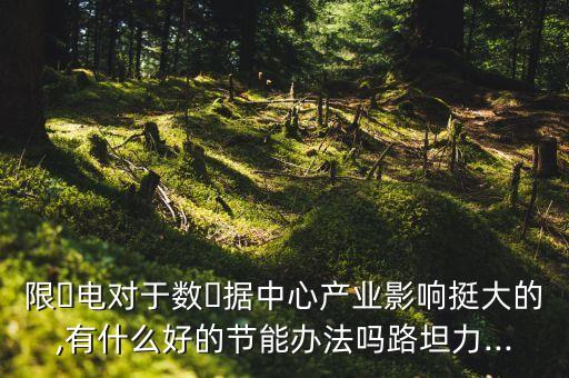 限?電對(duì)于數(shù)?據(jù)中心產(chǎn)業(yè)影響挺大的,有什么好的節(jié)能辦法嗎路坦力...