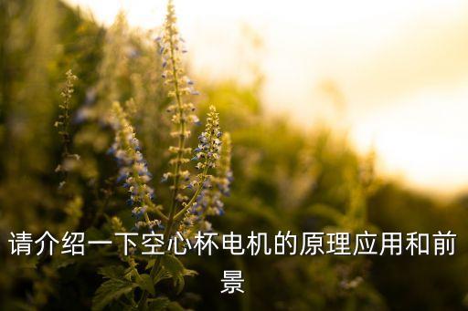 請介紹一下空心杯電機的原理應用和前景