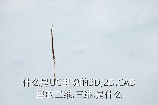 什么是UG里說的3D,2D,CAD里的二維,三維,是什么