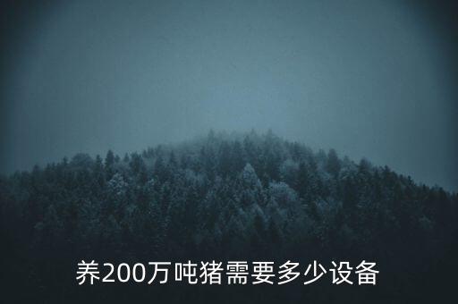 養(yǎng)200萬噸豬需要多少設(shè)備