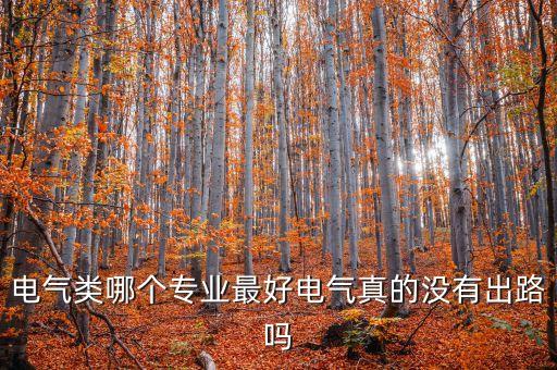 電氣類哪個(gè)專業(yè)最好電氣真的沒有出路嗎