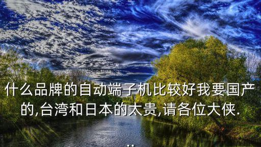 什么品牌的自動(dòng)端子機(jī)比較好我要國產(chǎn)的,臺(tái)灣和日本的太貴,請各位大俠...