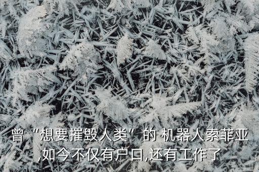 曾“想要摧毀人類”的 機器人索菲亞,如今不僅有戶口,還有工作了