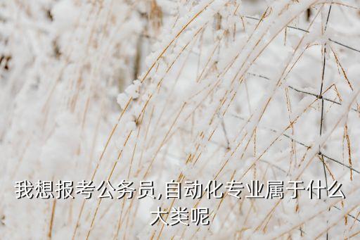 我想報(bào)考公務(wù)員,自動(dòng)化專業(yè)屬于什么大類呢