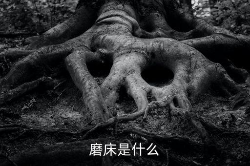 自動化設(shè)備無心磨床,關(guān)于無心磨床的詳細介紹