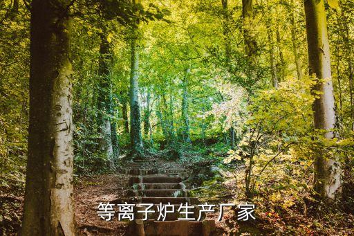 等離子爐生產(chǎn)廠家