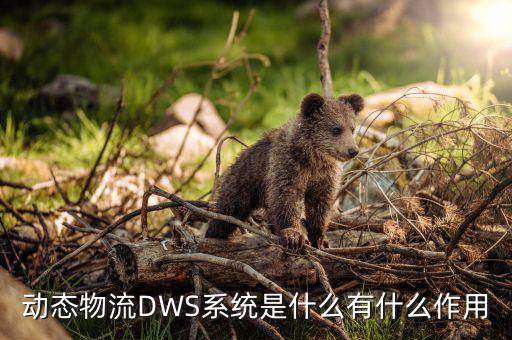 快遞自動化設備測試,快遞廠什么時候全自動化?