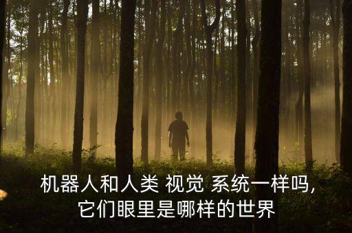  機器人和人類 視覺 系統(tǒng)一樣嗎,它們眼里是哪樣的世界