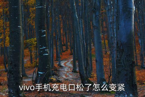vivo手機(jī)充電口松了怎么變緊