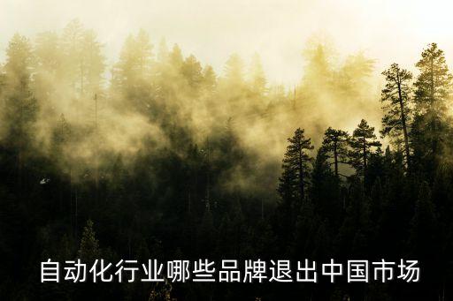自動化廠商有哪些公司,大連自動化有哪些公司