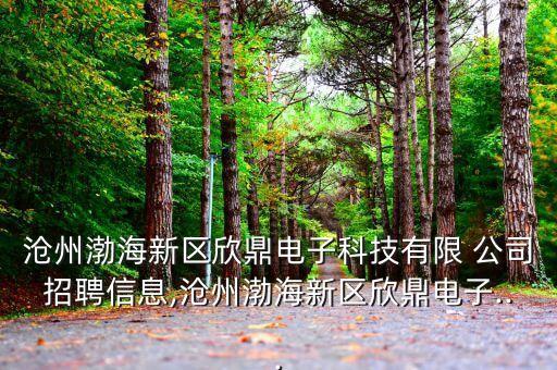 滄州渤海新區(qū)欣鼎電子科技有限 公司招聘信息,滄州渤海新區(qū)欣鼎電子...