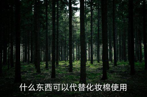 什么東西可以代替化妝棉使用