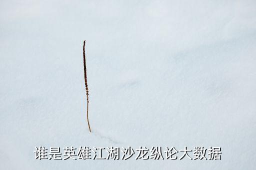 誰是英雄江湖沙龍縱論大數(shù)據(jù)