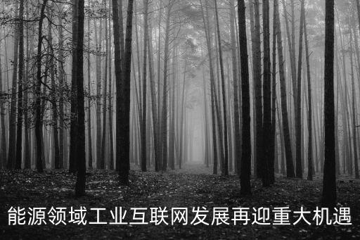 能源領(lǐng)域工業(yè)互聯(lián)網(wǎng)發(fā)展再迎重大機(jī)遇