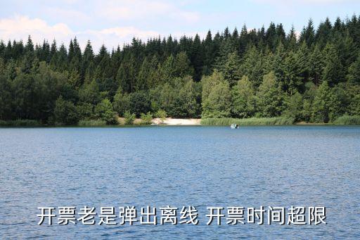 自動化集成公司怎么開票