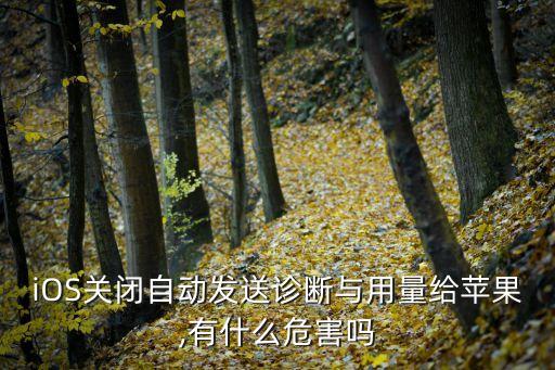 診斷與用量數(shù)據(jù)是什么,蘋果手機診斷與用量數(shù)據(jù)怎么刪?