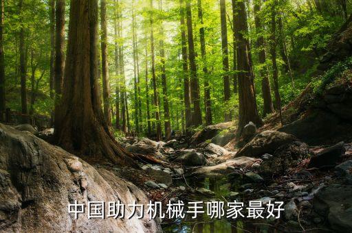 偌博特自動(dòng)化有限公司,蘇州羅博特科自動(dòng)化設(shè)備有限公司