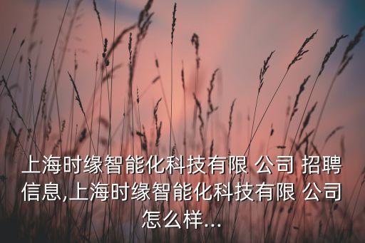 上海時緣智能化科技有限 公司 招聘信息,上海時緣智能化科技有限 公司怎么樣...