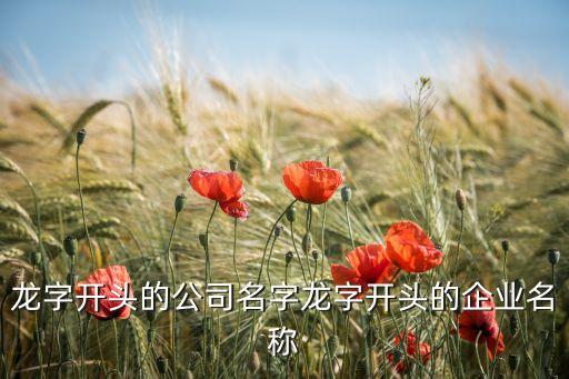 龍字開頭的公司名字龍字開頭的企業(yè)名稱
