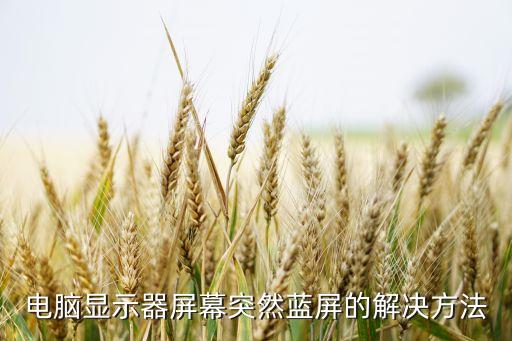 電腦顯示器屏幕突然藍(lán)屏的解決方法
