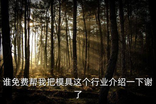 誰(shuí)免費(fèi)幫我把模具這個(gè)行業(yè)介紹一下謝了