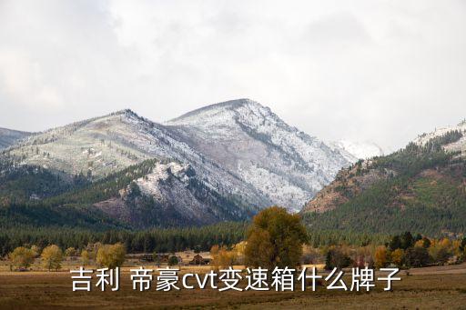  吉利 帝豪cvt變速箱什么牌子