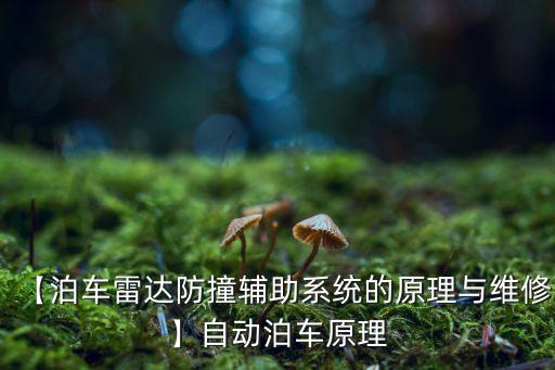 自動(dòng)化設(shè)備雷達(dá)傳感器,測距傳感器種類介紹一下!
