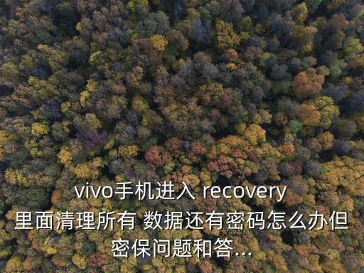 vivo手機(jī)進(jìn)入 recovery里面清理所有 數(shù)據(jù)還有密碼怎么辦但密保問題和答...