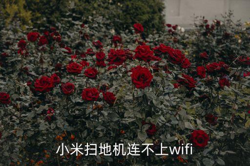 米家機(jī)器人不連接,怎么連接手機(jī)和小米掃地機(jī)器人?