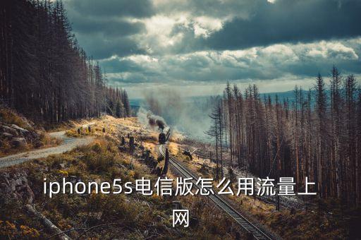 iphone5s電信版怎么用流量上網(wǎng)