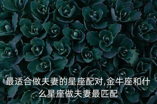 最適合做夫妻的星座配對,金牛座和什么星座做夫妻最匹配