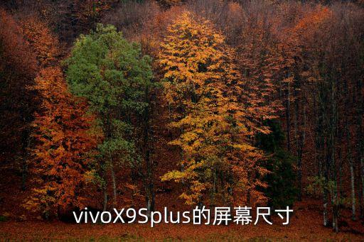  vivoX9Splus的屏幕尺寸