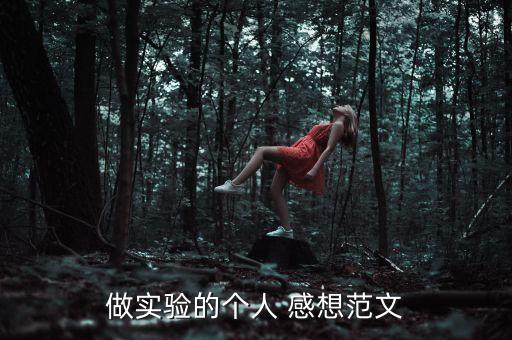 做實驗的個人 感想范文