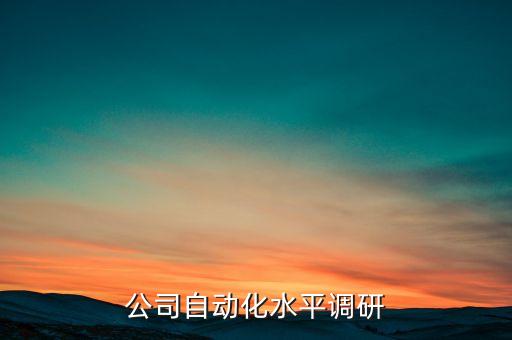 德國公司自動化水平調(diào)研