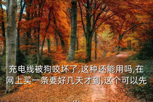 數(shù)據(jù)線上帶一個(gè)小狗