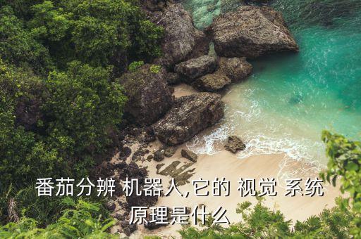 機(jī)器人視覺(jué)識(shí)別系統(tǒng)
