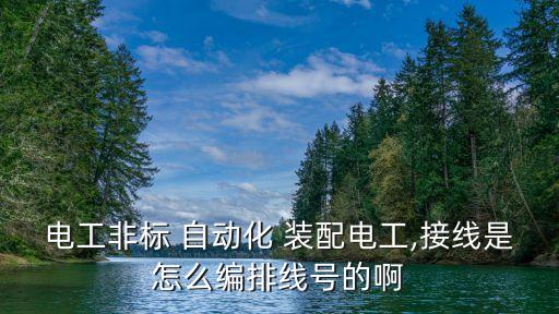 電工非標(biāo) 自動化 裝配電工,接線是怎么編排線號的啊
