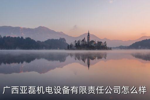 廣西亞磊機(jī)電設(shè)備有限責(zé)任公司怎么樣