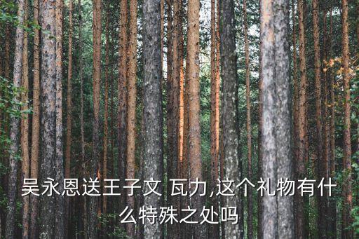 吳永恩送王子文 瓦力,這個(gè)禮物有什么特殊之處嗎